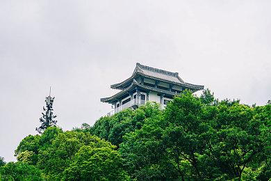 《巫师4》主角希里不会过于强大 她并非玛丽苏！